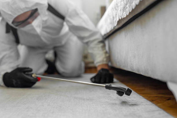 Professional Bed Bug Control technician working in Wells, MN